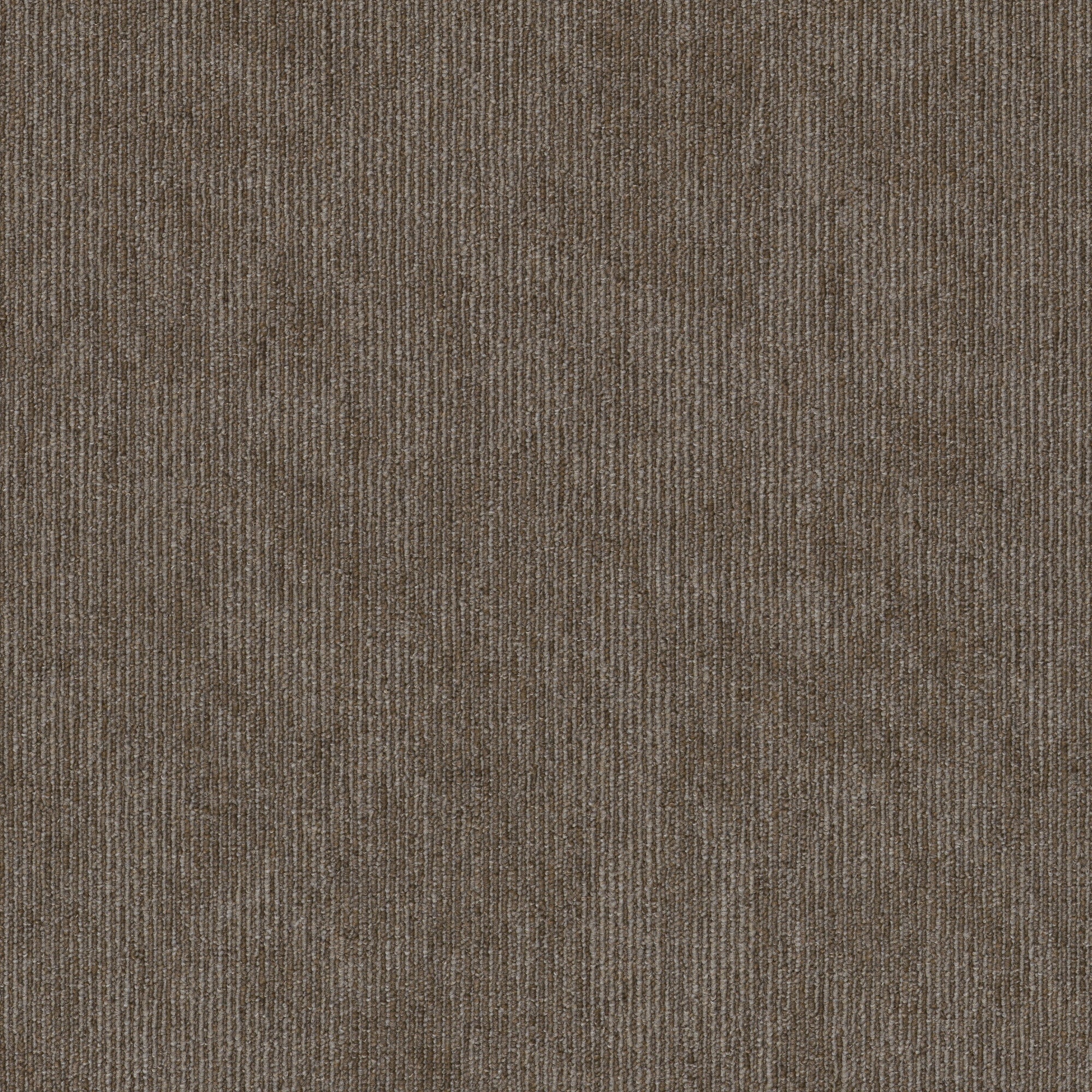 Shaw Contender 24 X 24 Glue Down Commercial Carpet Tile Sold By