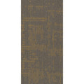 Shaw Curious Wonder 36 X 18 Glue Down Commercial Carpet Tile Sold