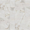 Shaw Gemstone 12 X 24 Rectangle Tile Matte Marble Visual Sold