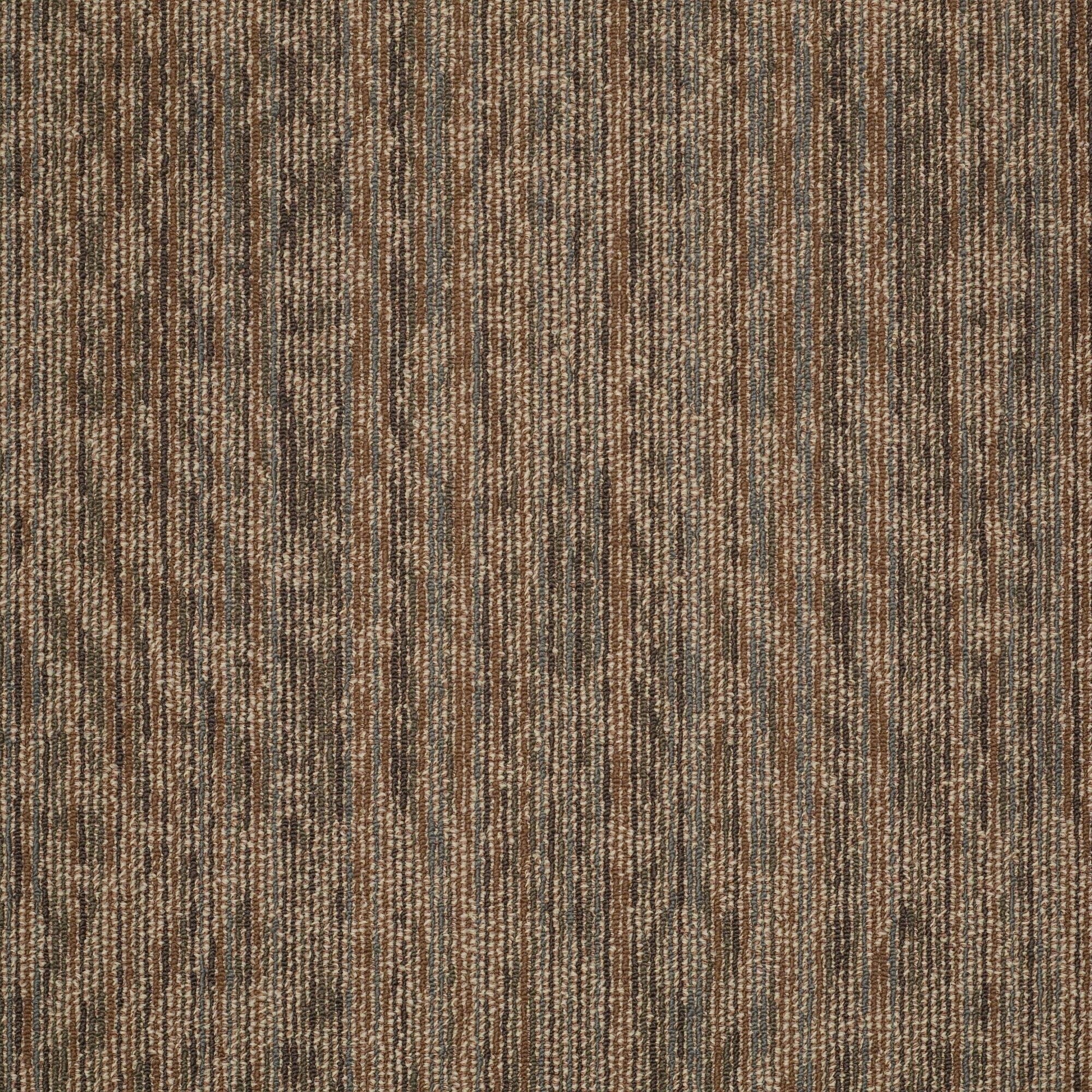 Shaw Philadelphia Commercial Amaze 24 X 24 Glue Down Carpet Tile