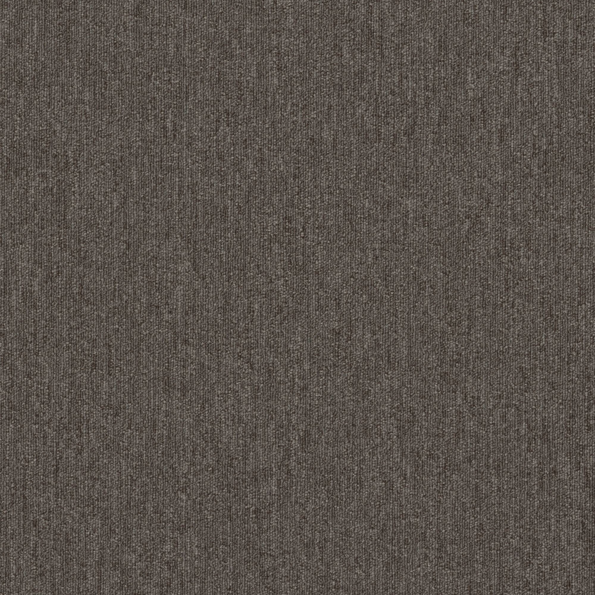 Shaw Philadelphia Commercial Beyond Limits 24 X 24 Glue Down Carpet