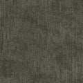 Shaw Philadelphia Commercial Biotic 24 X 24 Glue Down Carpet Tile