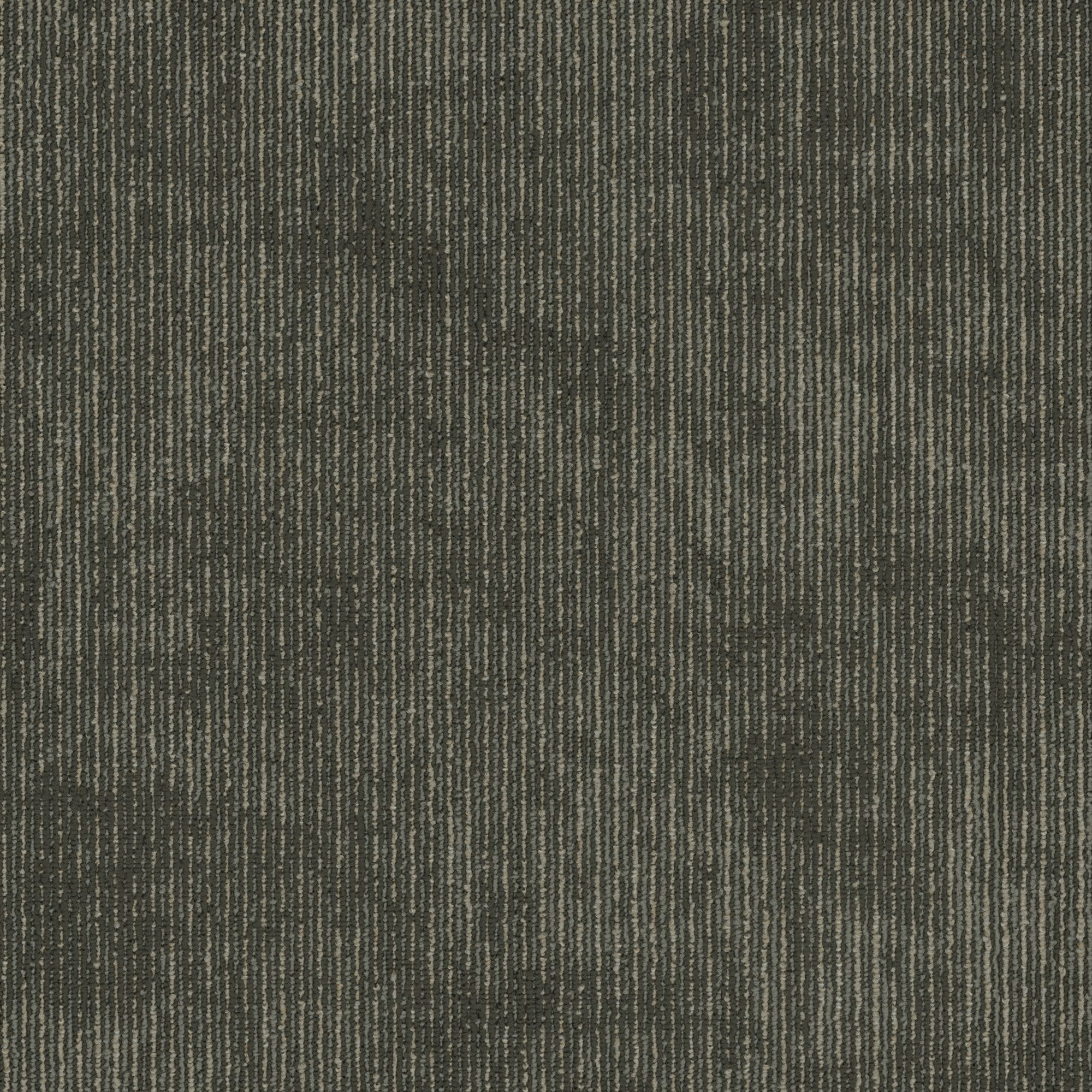 Shaw Philadelphia Commercial Biotic 24 X 24 Glue Down Carpet Tile