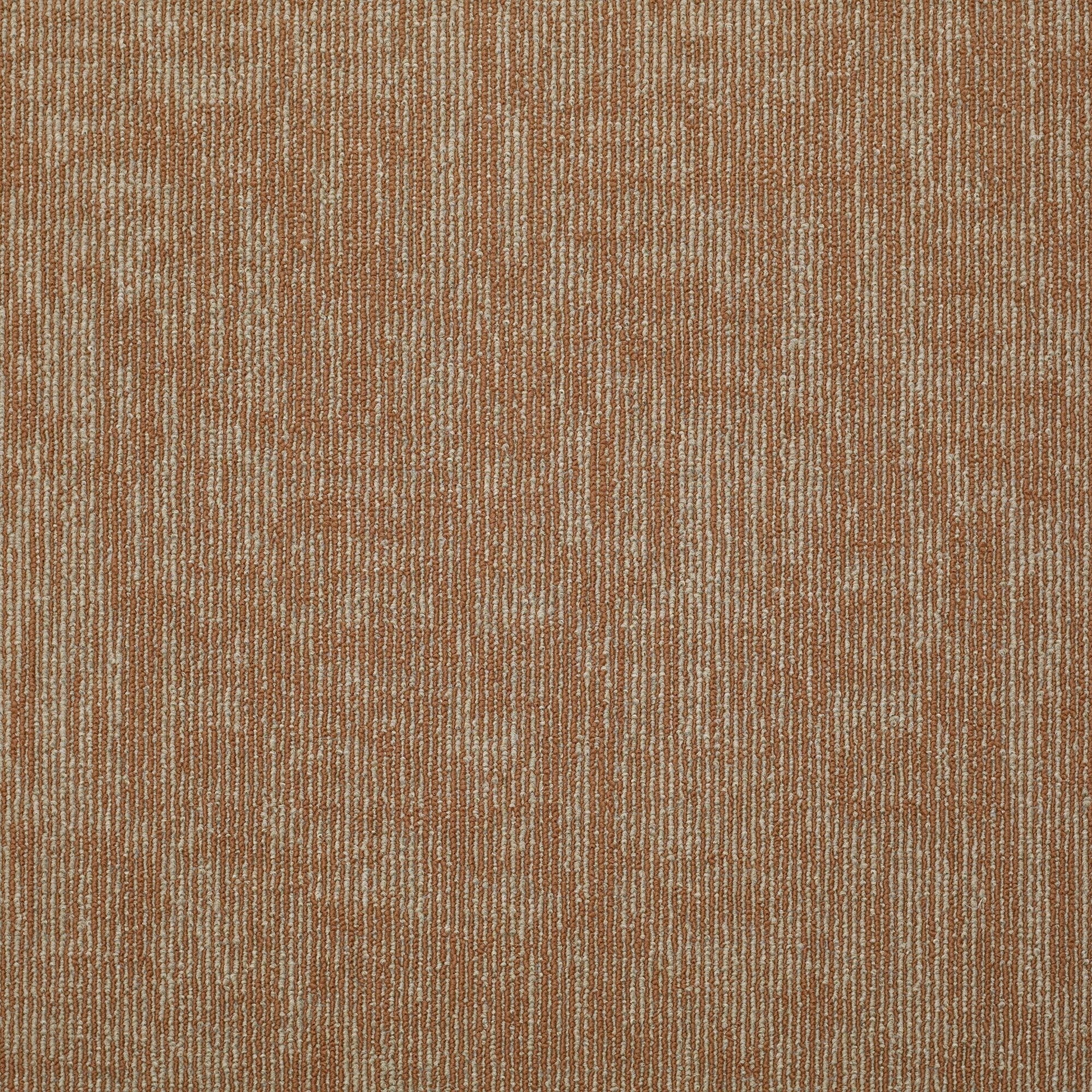 Shaw Philadelphia Commercial Carbon Copy 24 X 24 Glue Down Carpet