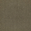 Shaw Philadelphia Commercial Counterpart 24 X 24 Glue Down Carpet
