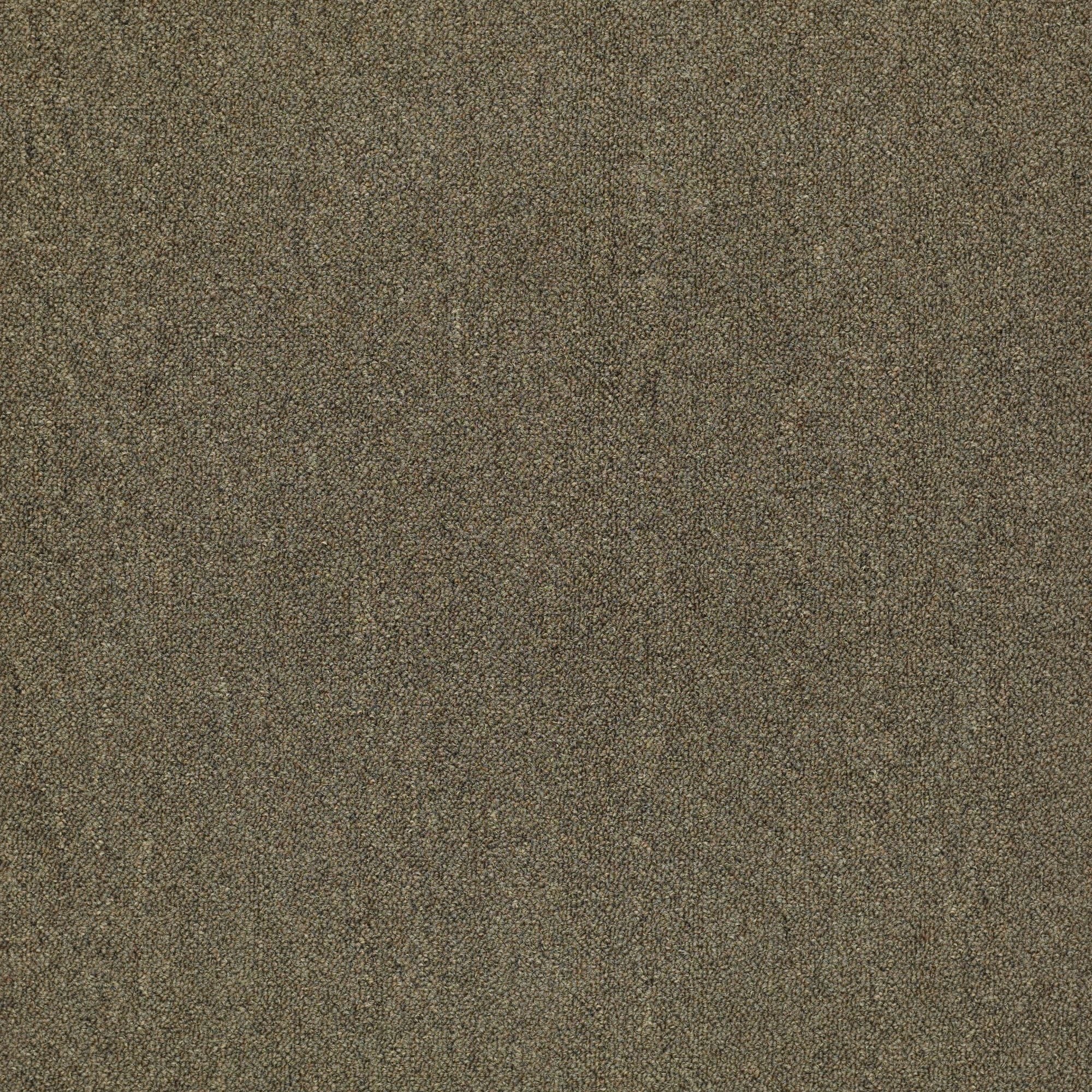 Shaw Philadelphia Commercial Counterpart 24 X 24 Glue Down Carpet