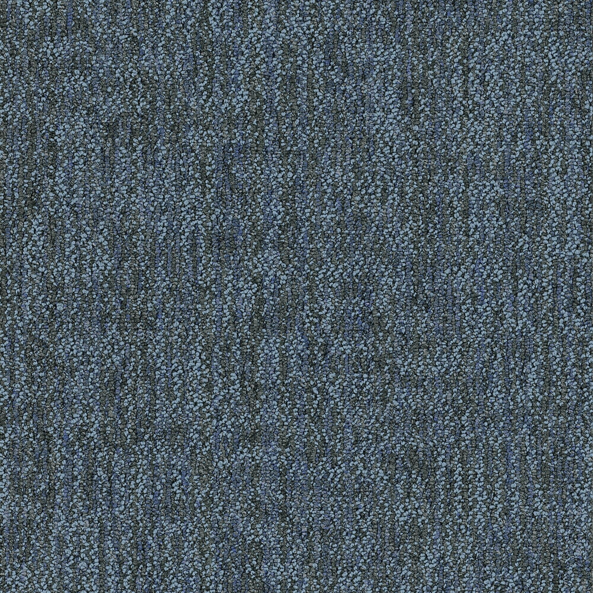 Shaw Philadelphia Commercial Crazy Smart 18 X 36 Glue Down Carpet