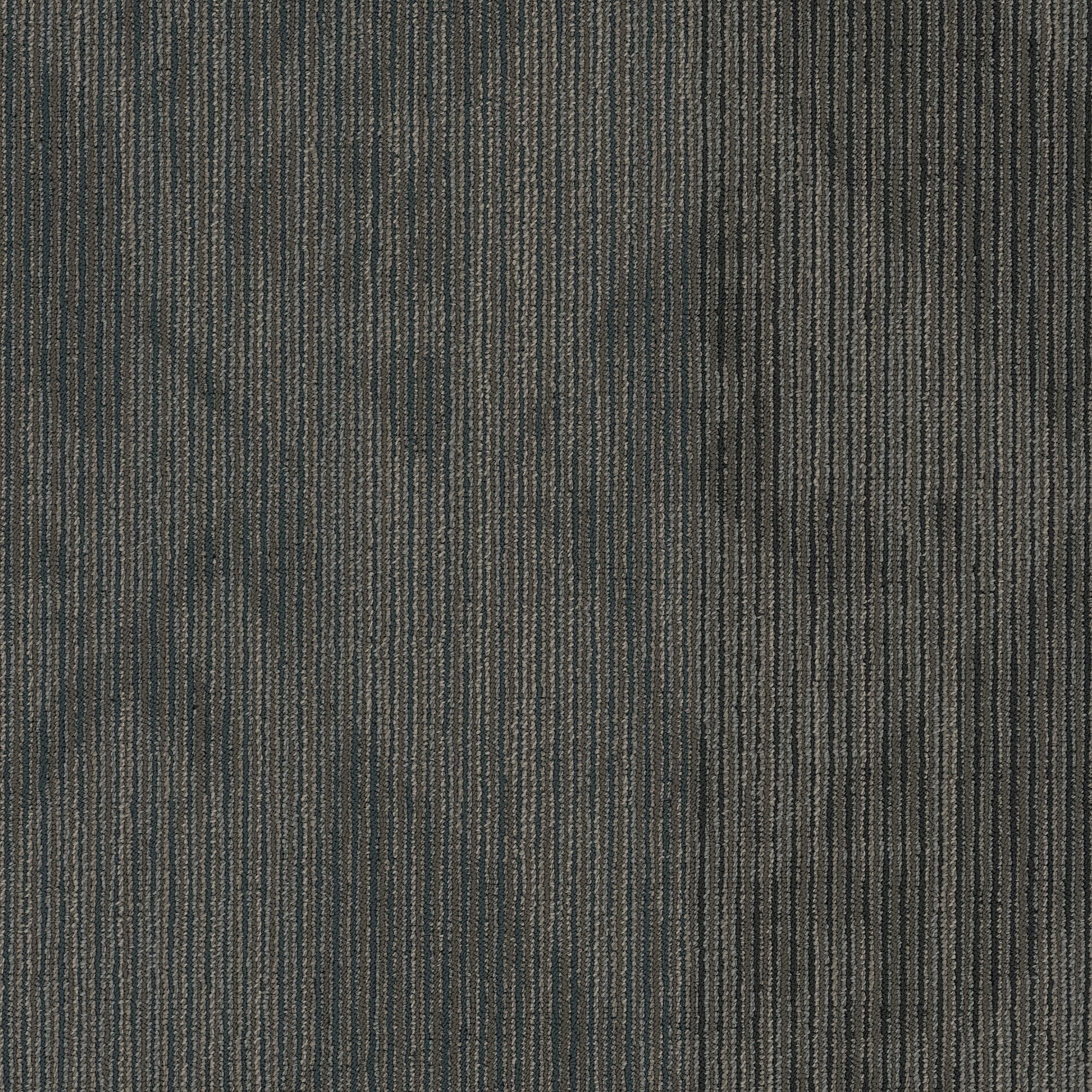Shaw Philadelphia Commercial Declare 24 X 24 Glue Down Carpet Tile