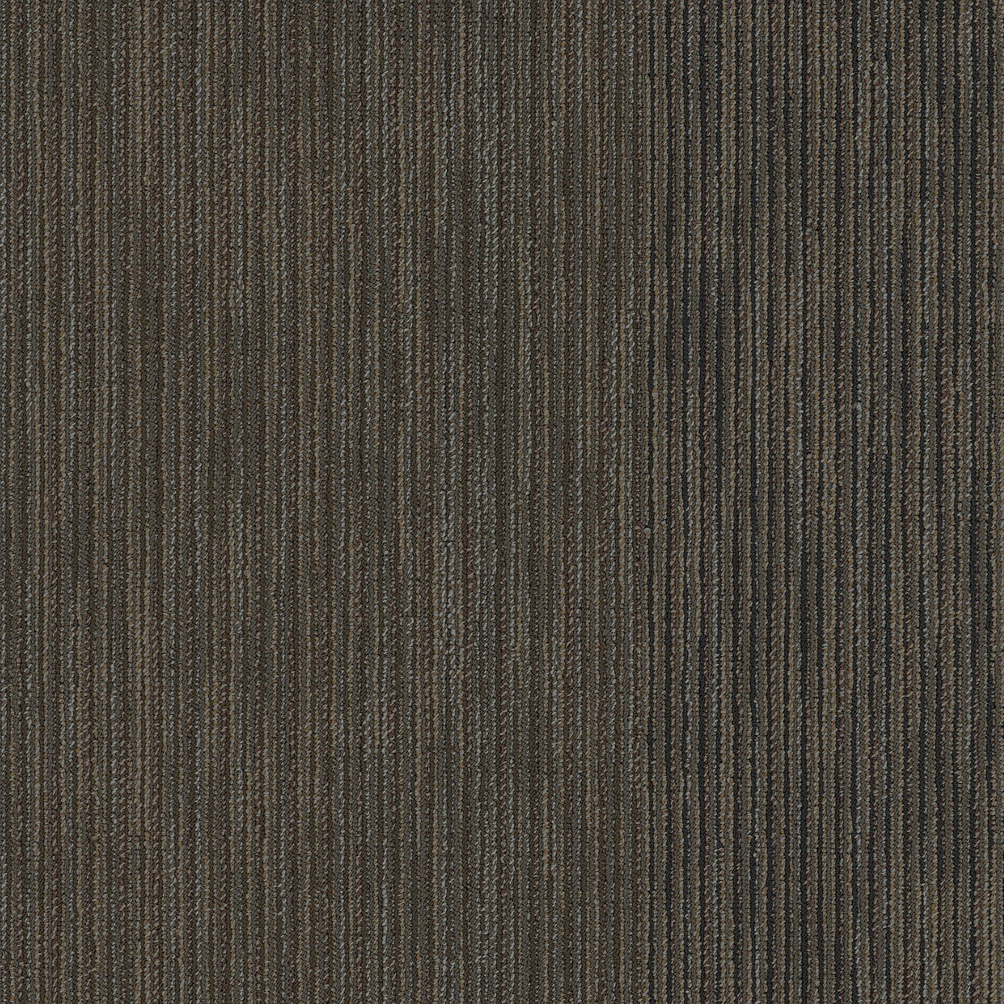 Shaw Philadelphia Commercial Document 24 X 24 Glue Down Carpet Tile