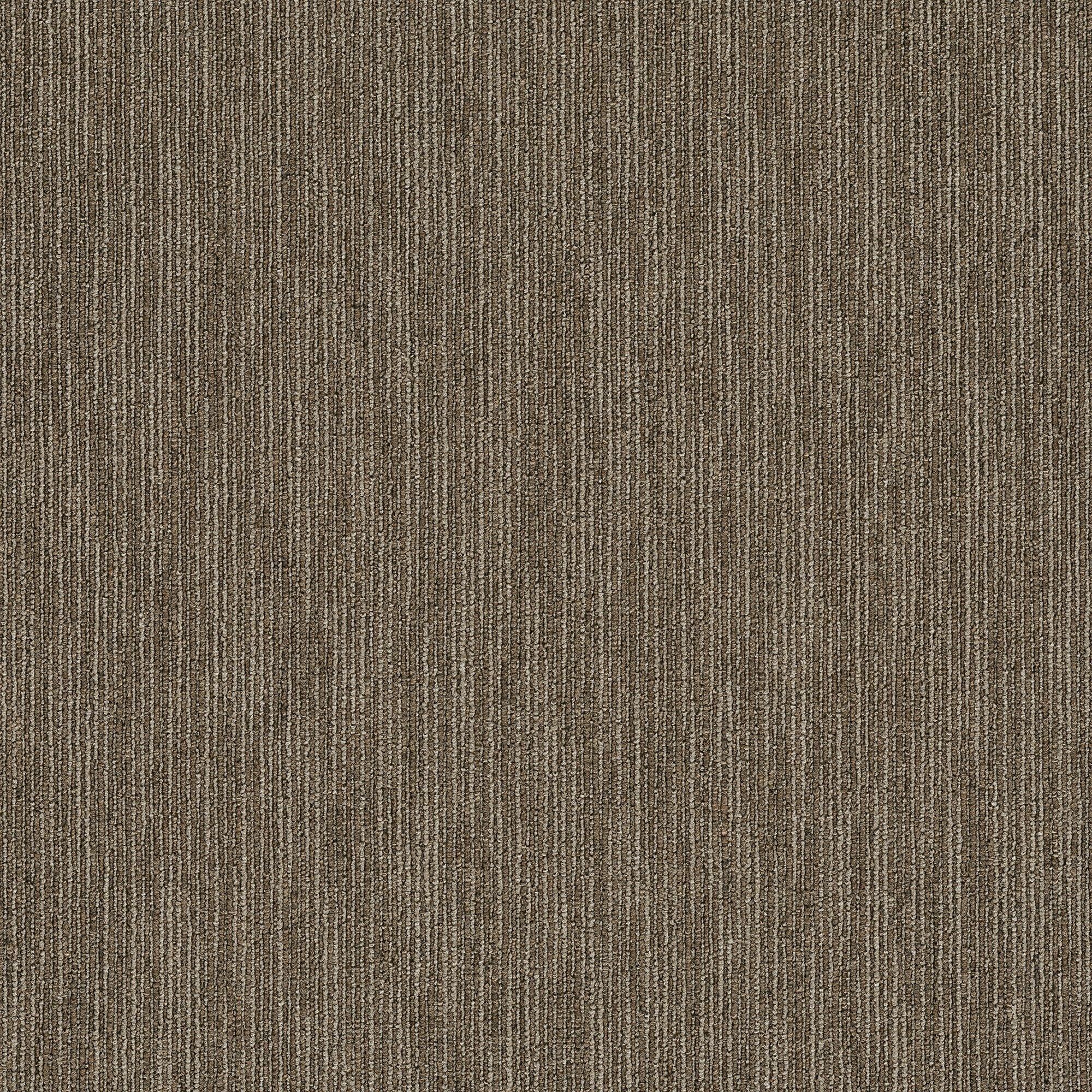 Shaw Philadelphia Commercial Dynamo 24 X 24 Glue Down Carpet Tile