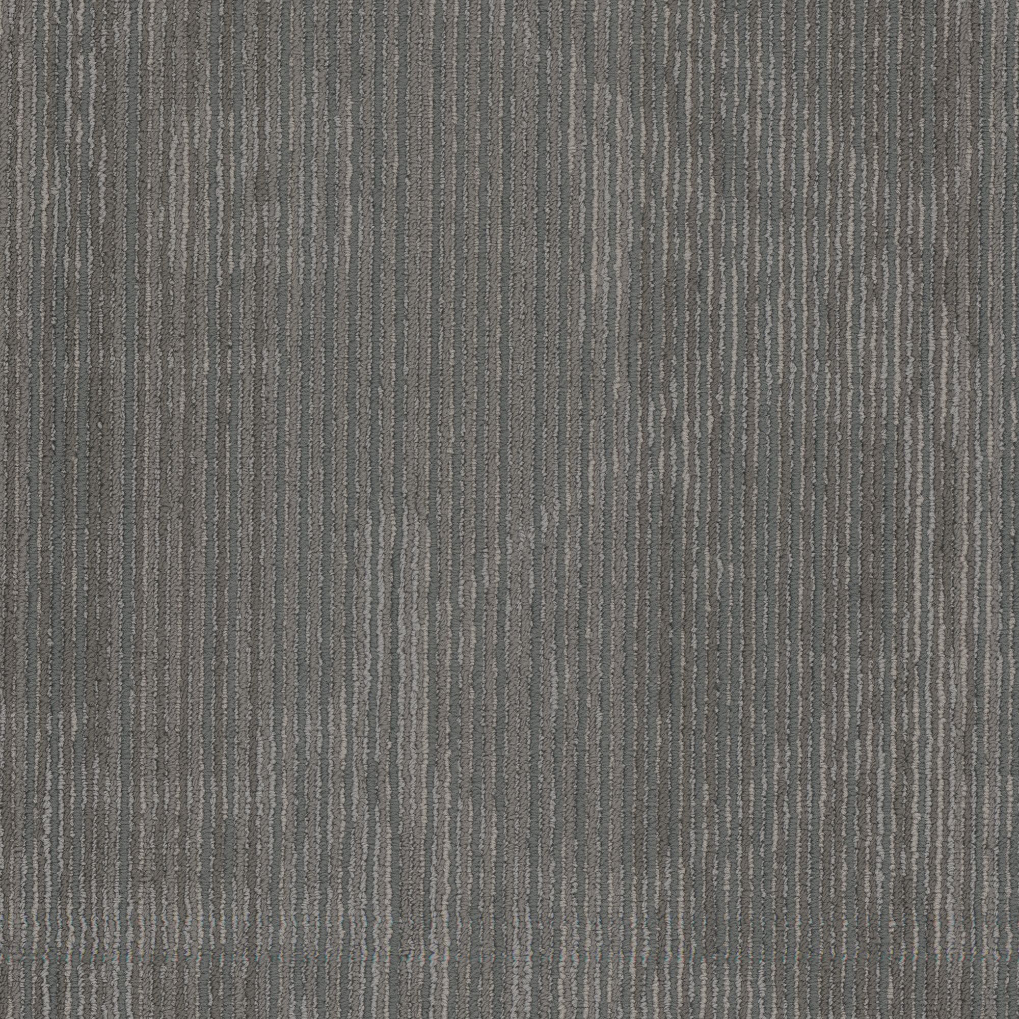 Shaw Philadelphia Commercial Encrypt 18 X 36 Glue Down Carpet Tile