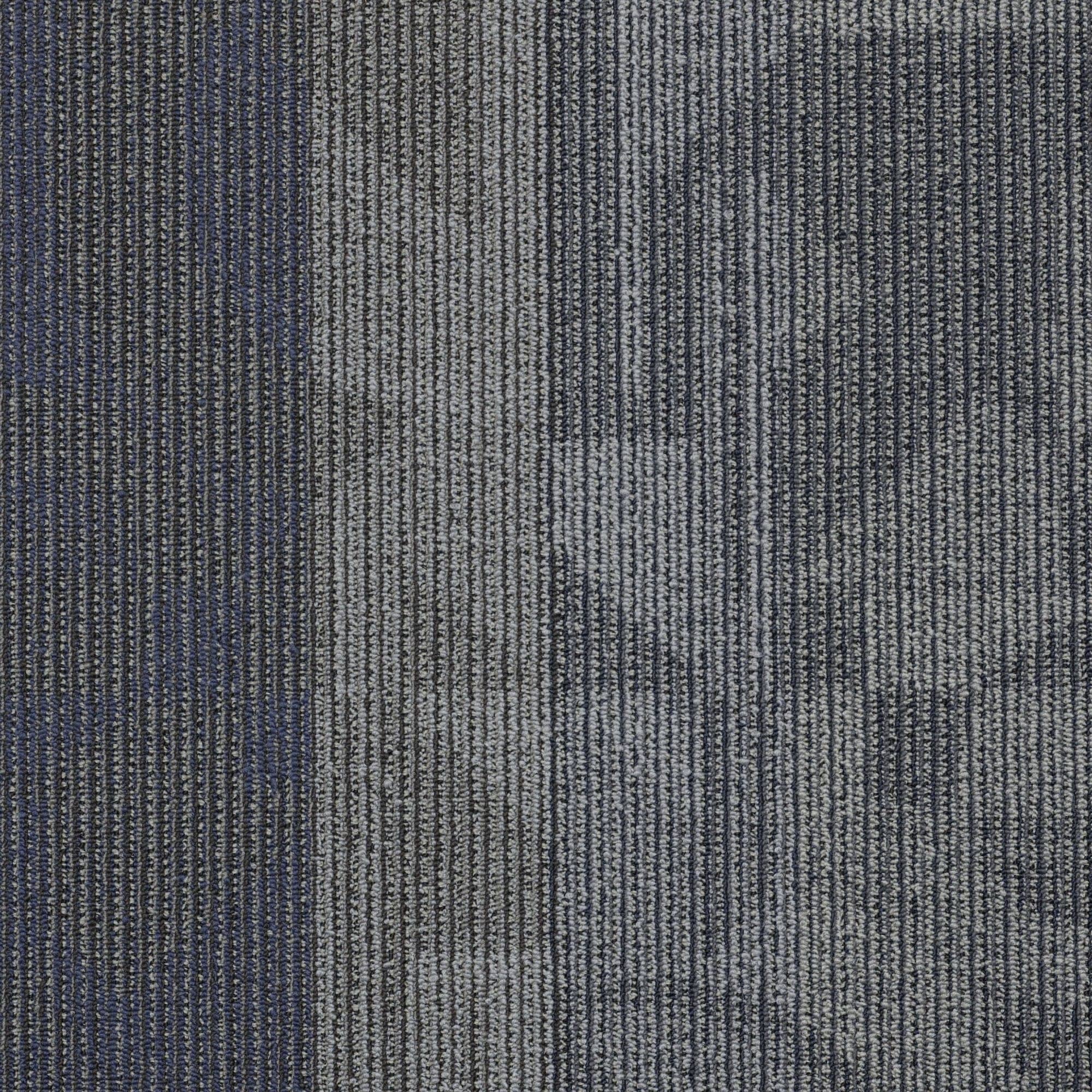 Shaw Philadelphia Commercial Feed Back 24 X 24 Glue Down Carpet Tile