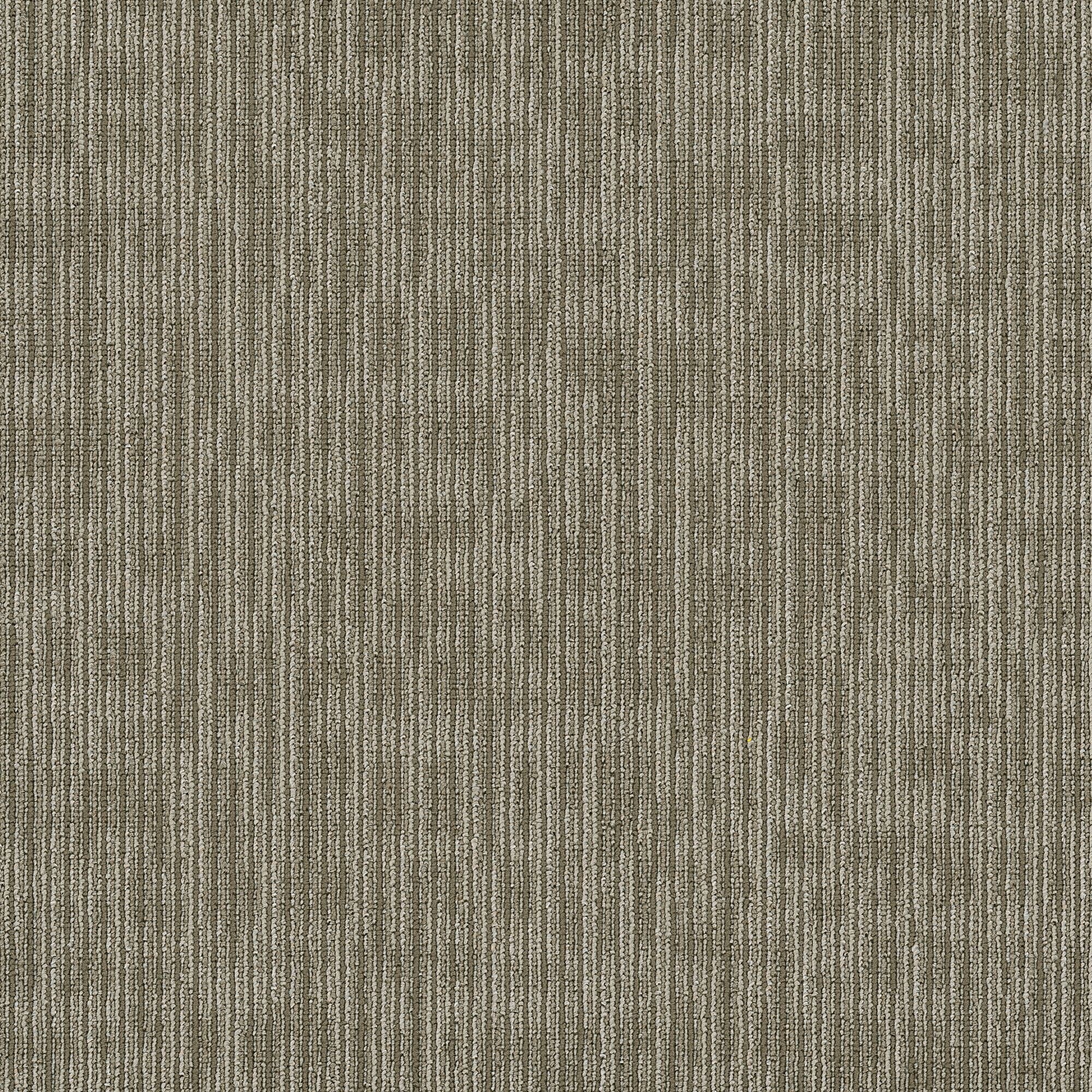 Shaw Philadelphia Commercial Genius 24 X 24 Glue Down Carpet Tile