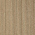 Shaw Philadelphia Commercial Lucky Break 24 X 24 Glue Down Carpet