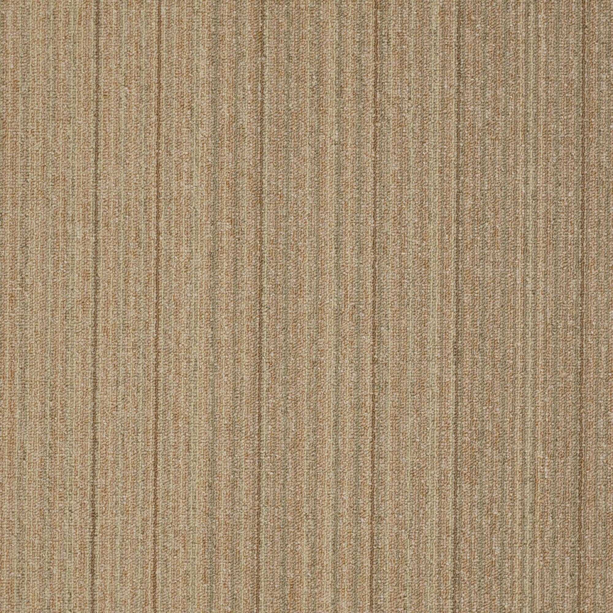 Shaw Philadelphia Commercial Lucky Break 24 X 24 Glue Down Carpet