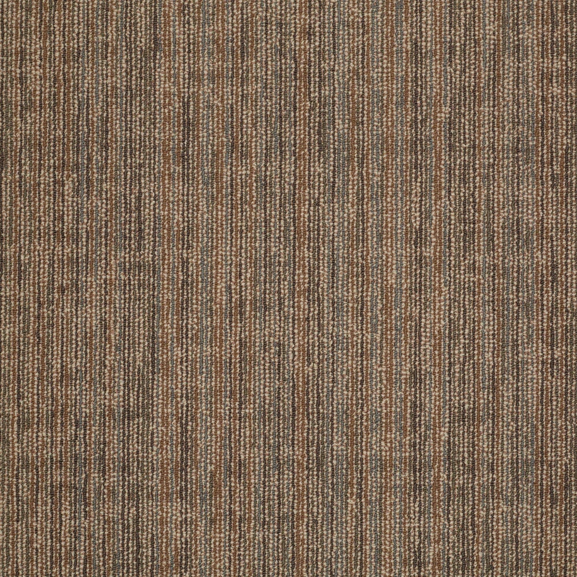 Shaw Philadelphia Commercial Mystify 24 X 24 Glue Down Carpet Tile