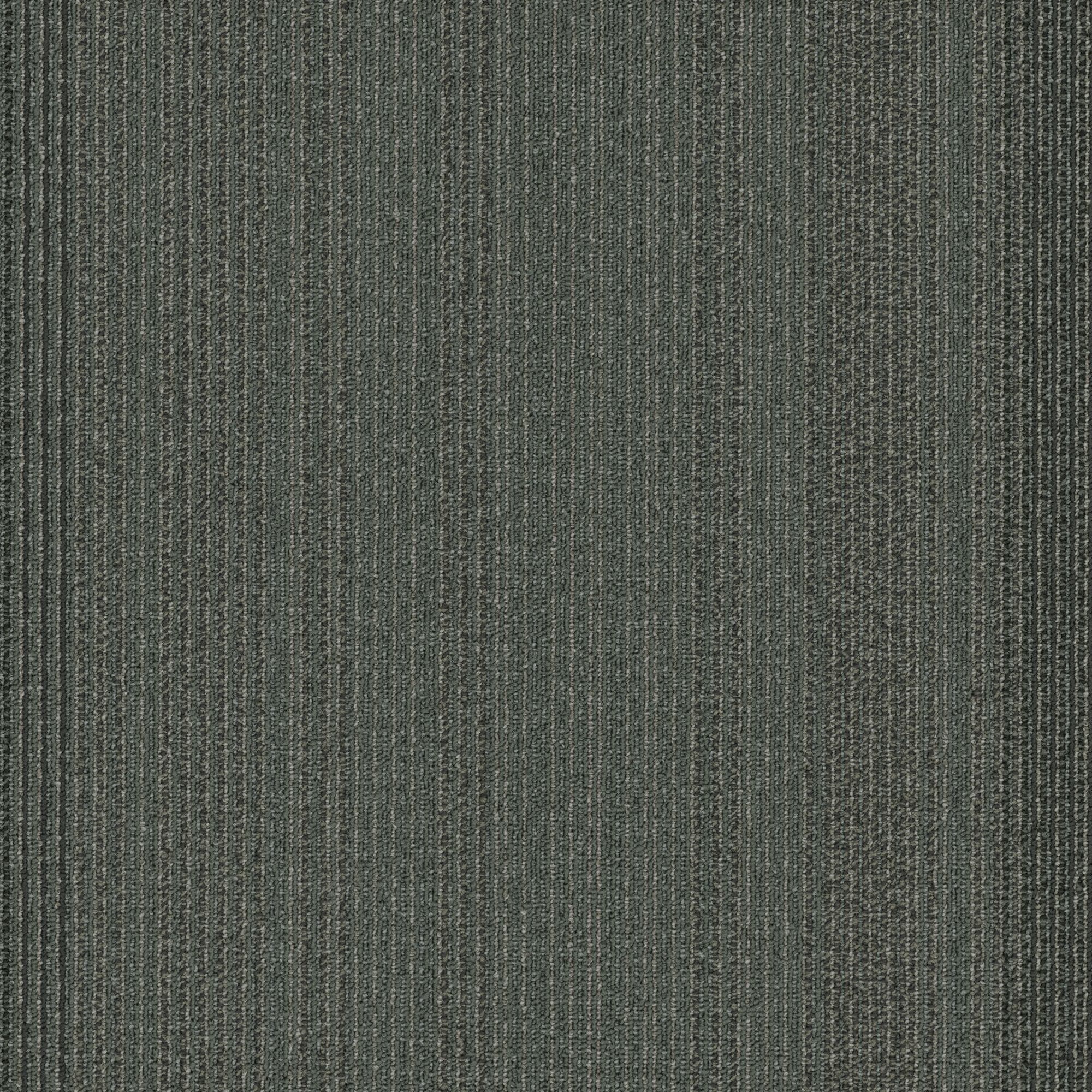 Shaw Philadelphia Commercial Practical 24 X 24 Glue Down Carpet Tile