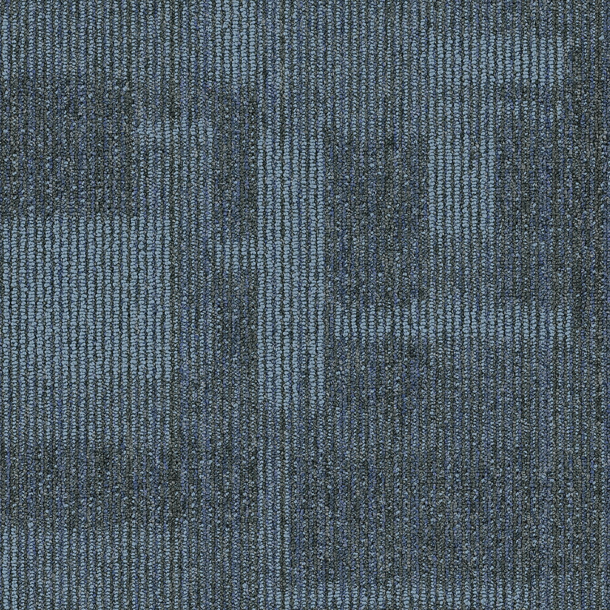 Shaw Philadelphia Commercial Pure Attitude 18 X 36 Glue Down Carpet