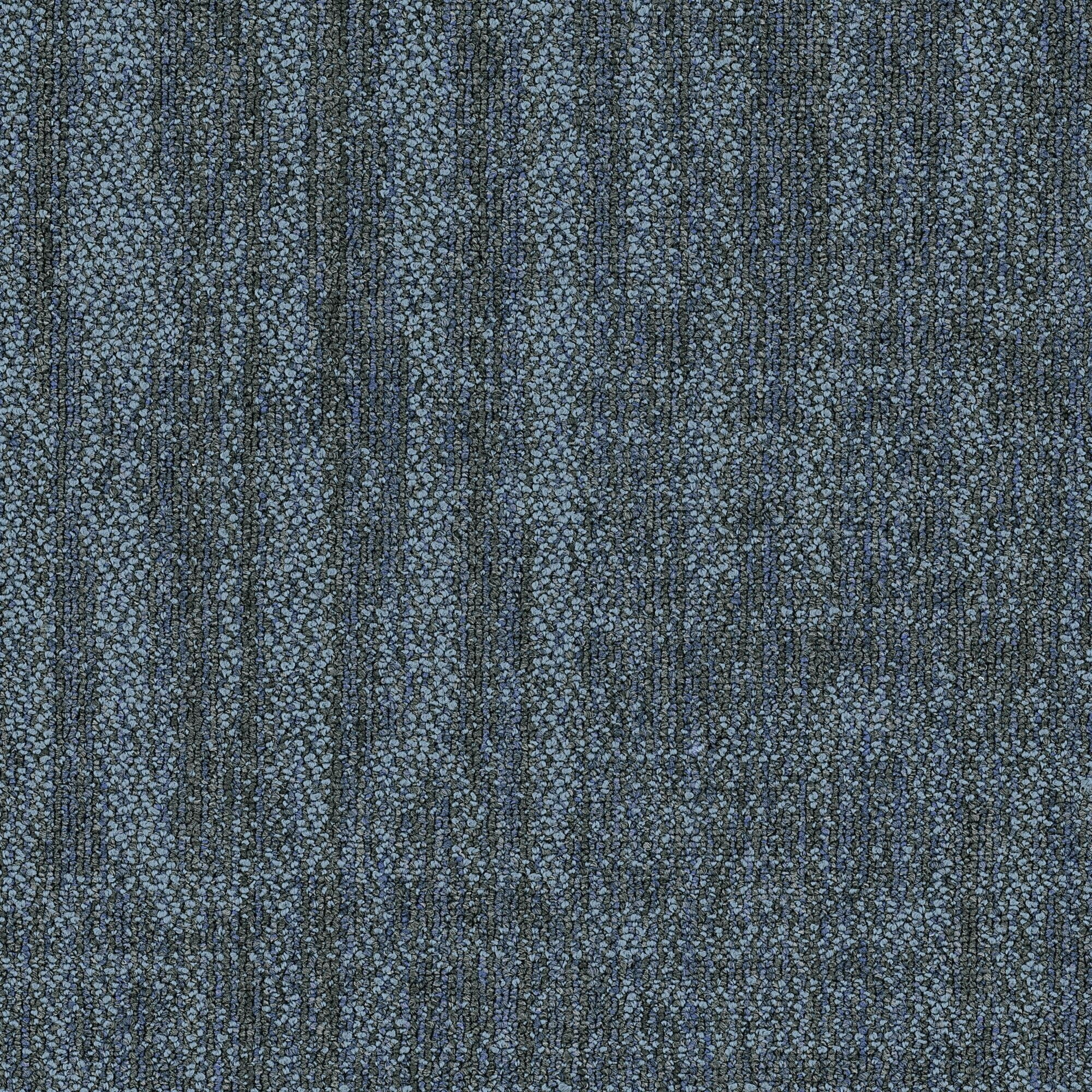 Shaw Philadelphia Commercial Raw Beauty 18 X 36 Glue Down Carpet