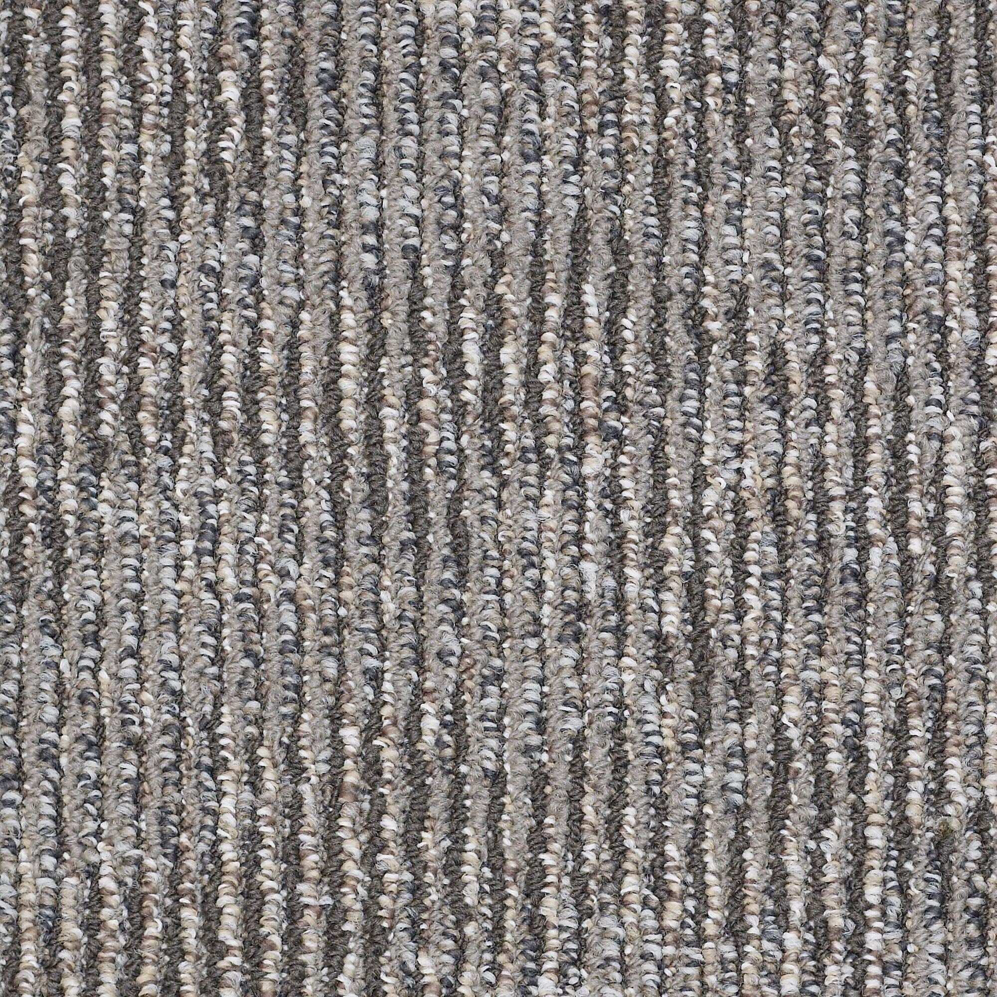 Shaw Philadelphia Commercial Ripple Effect 24 X 24 Glue Down Carpet