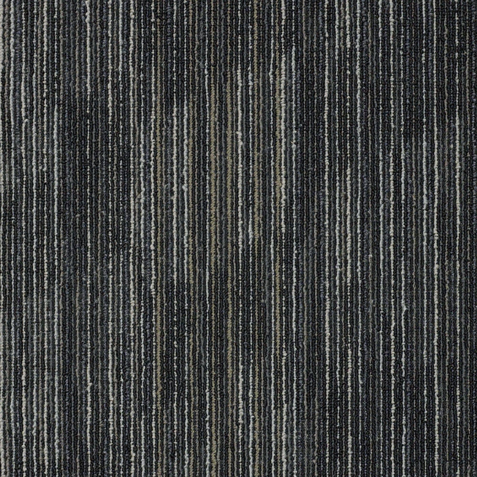 Shaw Philadelphia Commercial Shifting Gears 18 X 36 Glue Down Carpet
