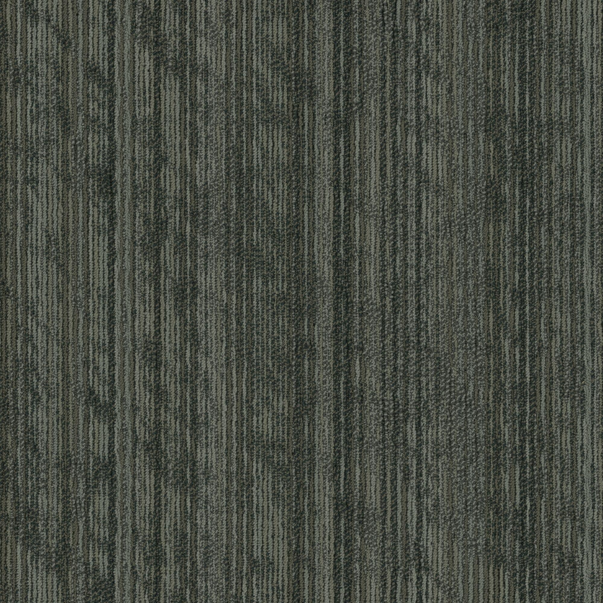 Shaw Philadelphia Commercial Sort 24 X 24 Glue Down Carpet Tile