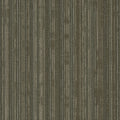 Shaw Philadelphia Commercial Stack 24 X 24 Glue Down Carpet Tile