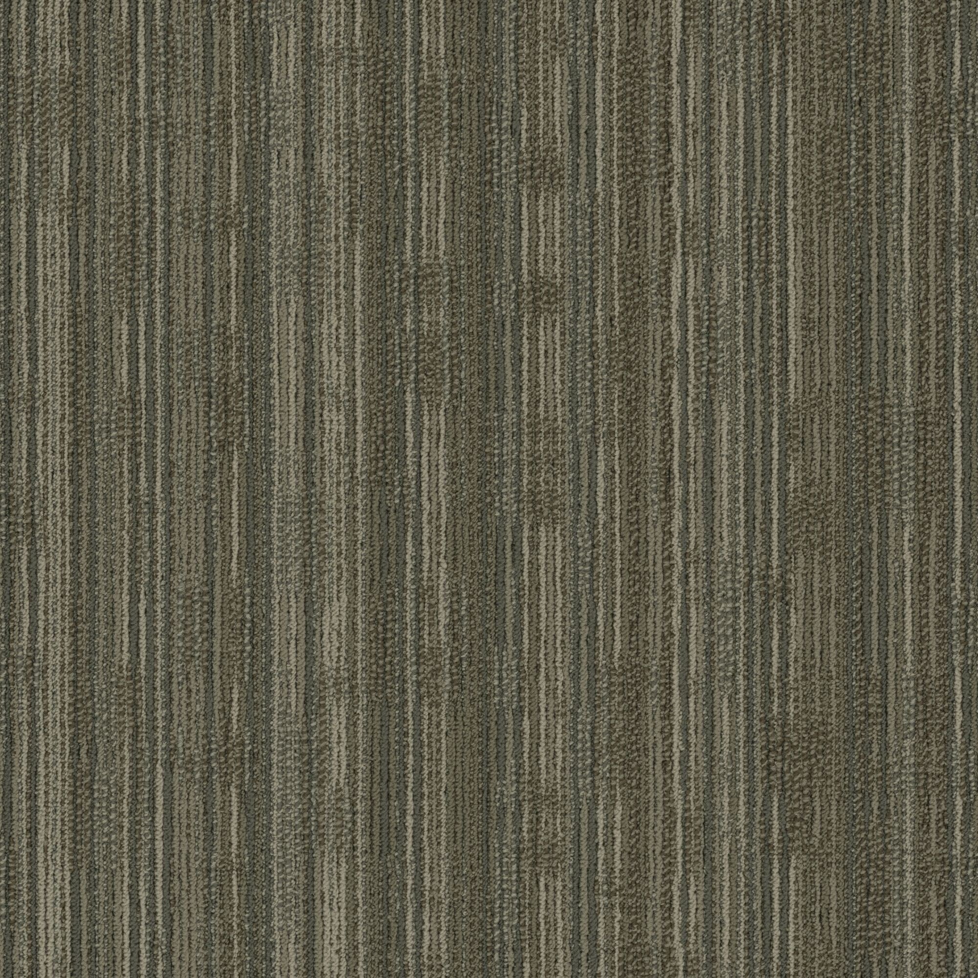 Shaw Philadelphia Commercial Stack 24 X 24 Glue Down Carpet Tile