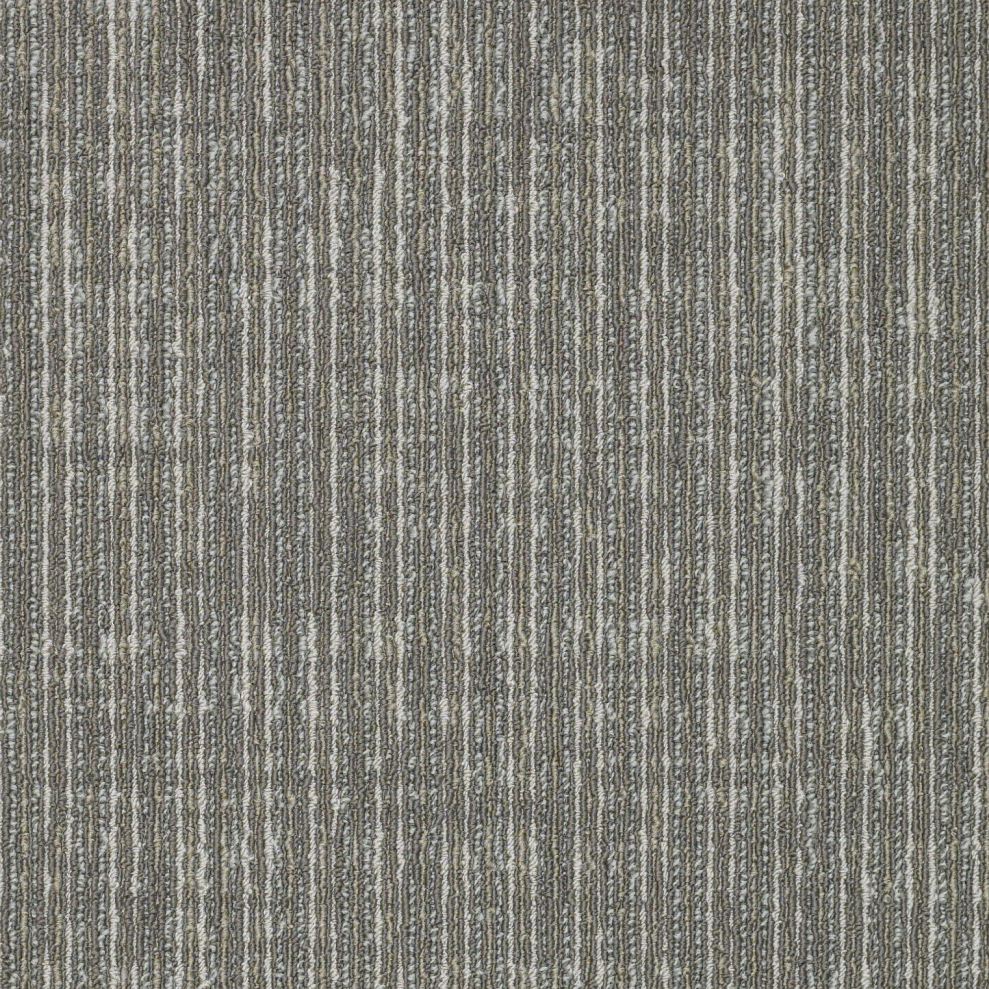 Shaw Philadelphia Commercial Straight Shift 18 X 36 Glue Down Carpet