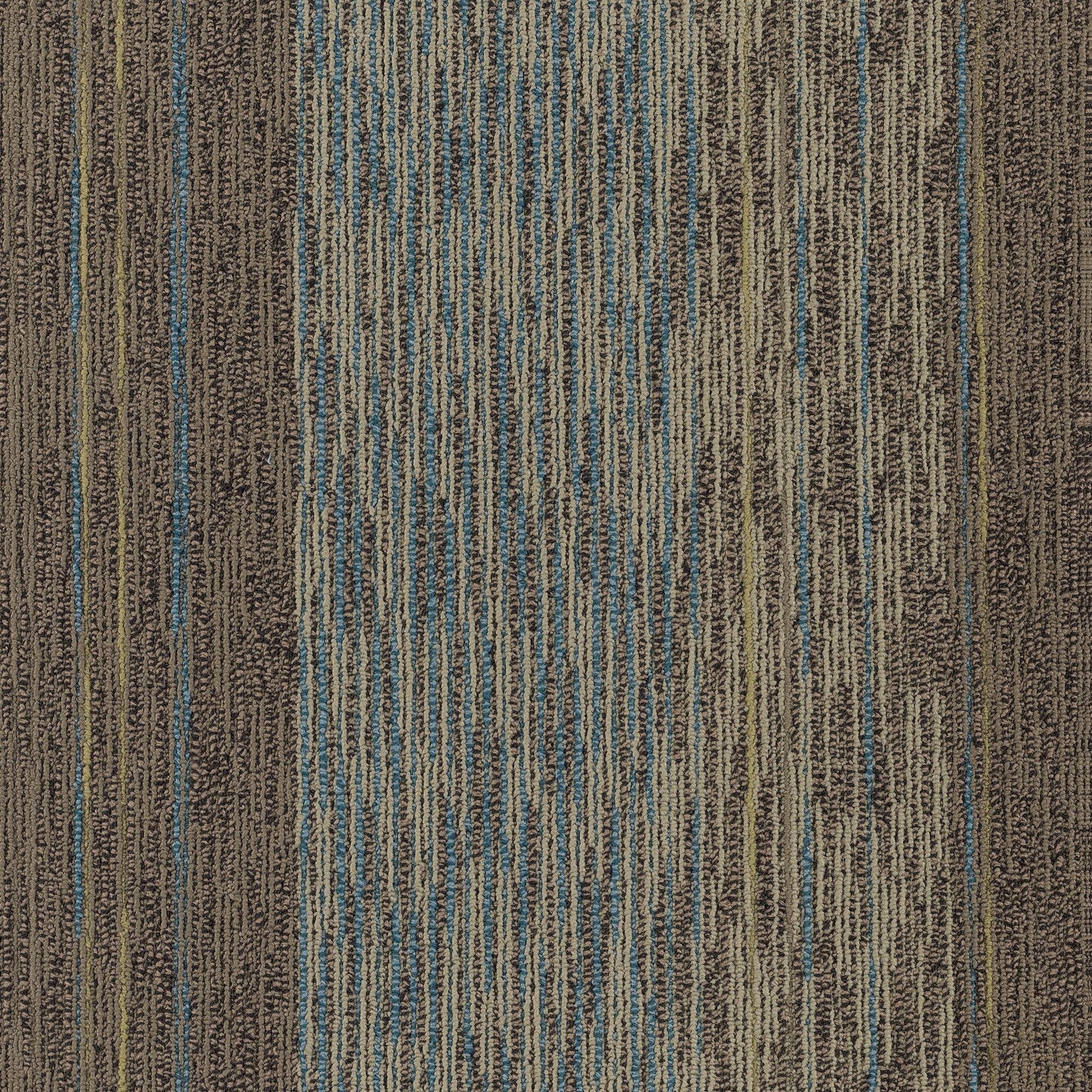 Shaw Philadelphia Commercial Unscripted 24 X 24 Glue Down Carpet