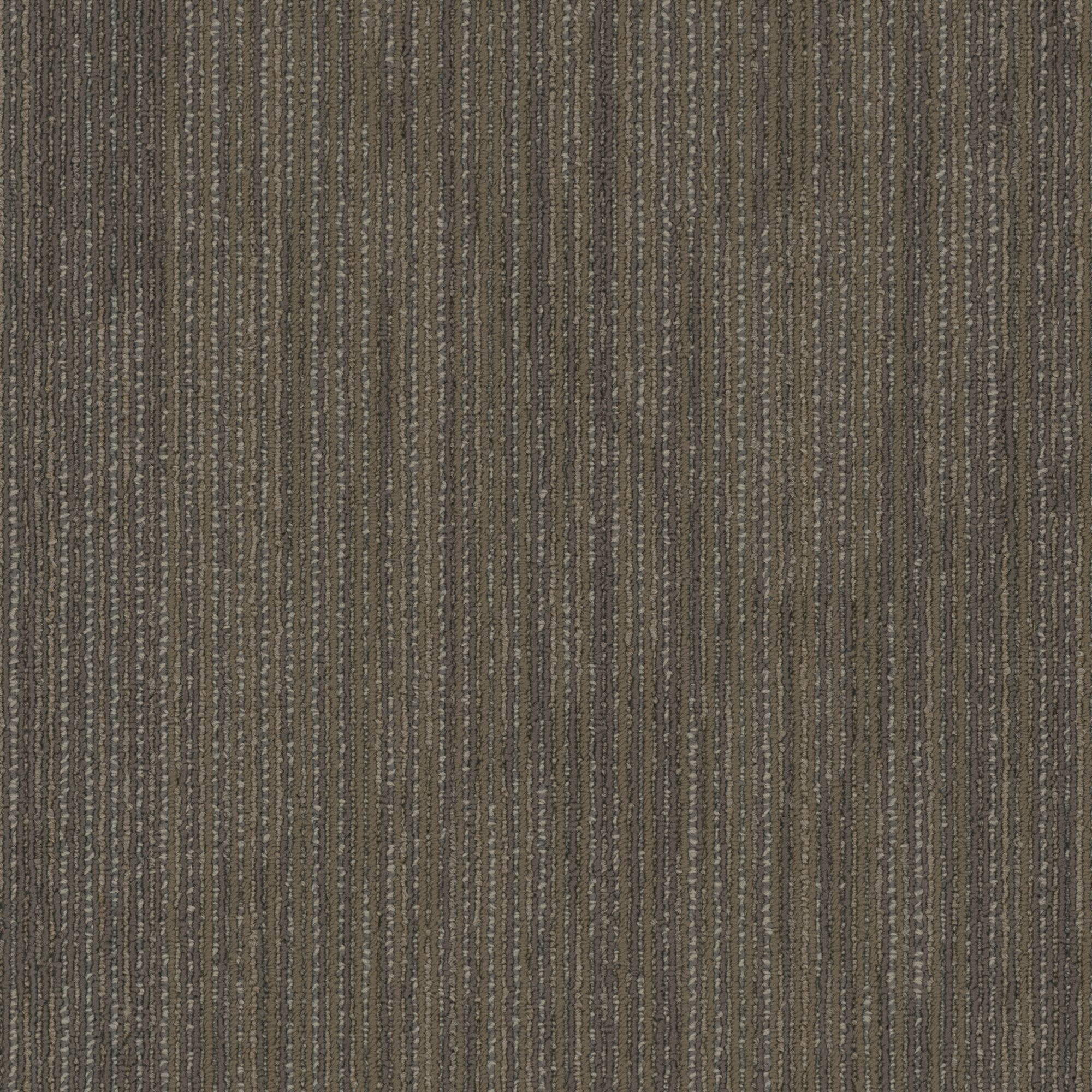 Shaw Philadelphia Commercial Visionary 18 X 36 Glue Down Carpet Tile