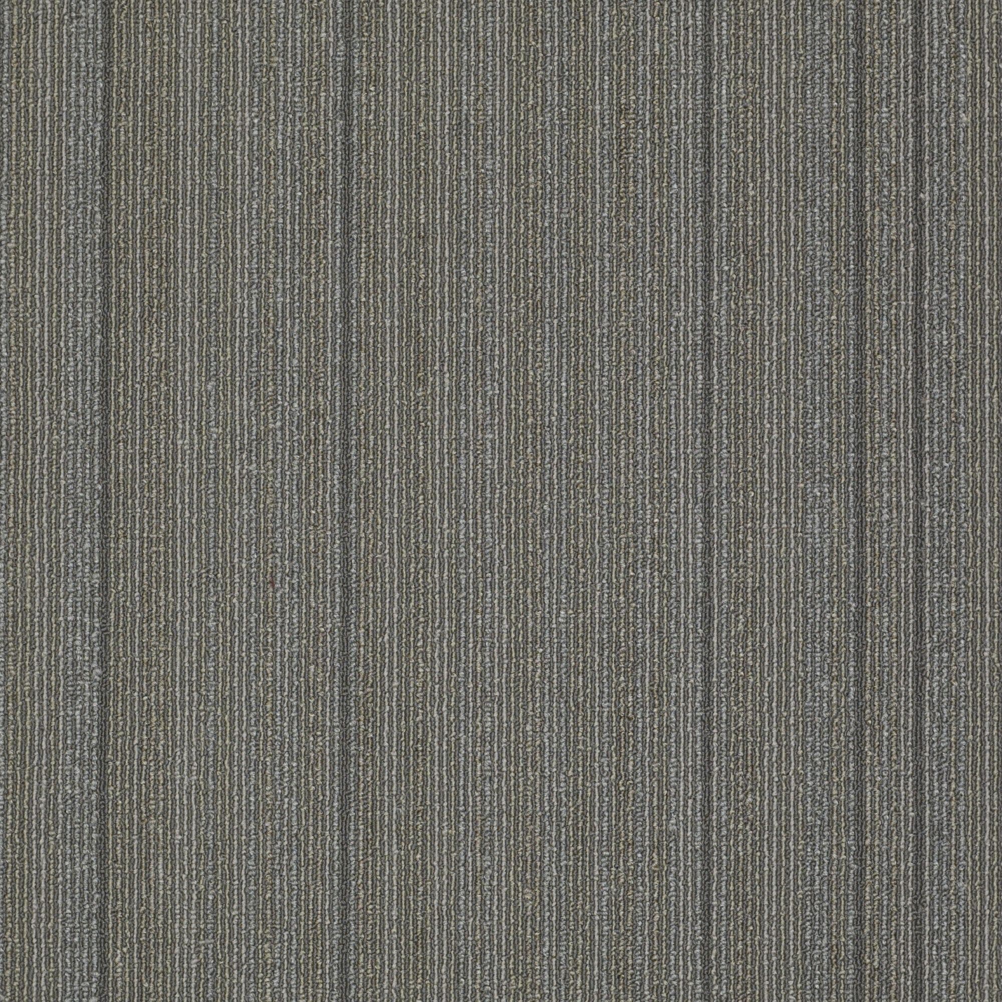 Shaw Philadelphia Commercial Wired 24 X 24 Glue Down Carpet Tile