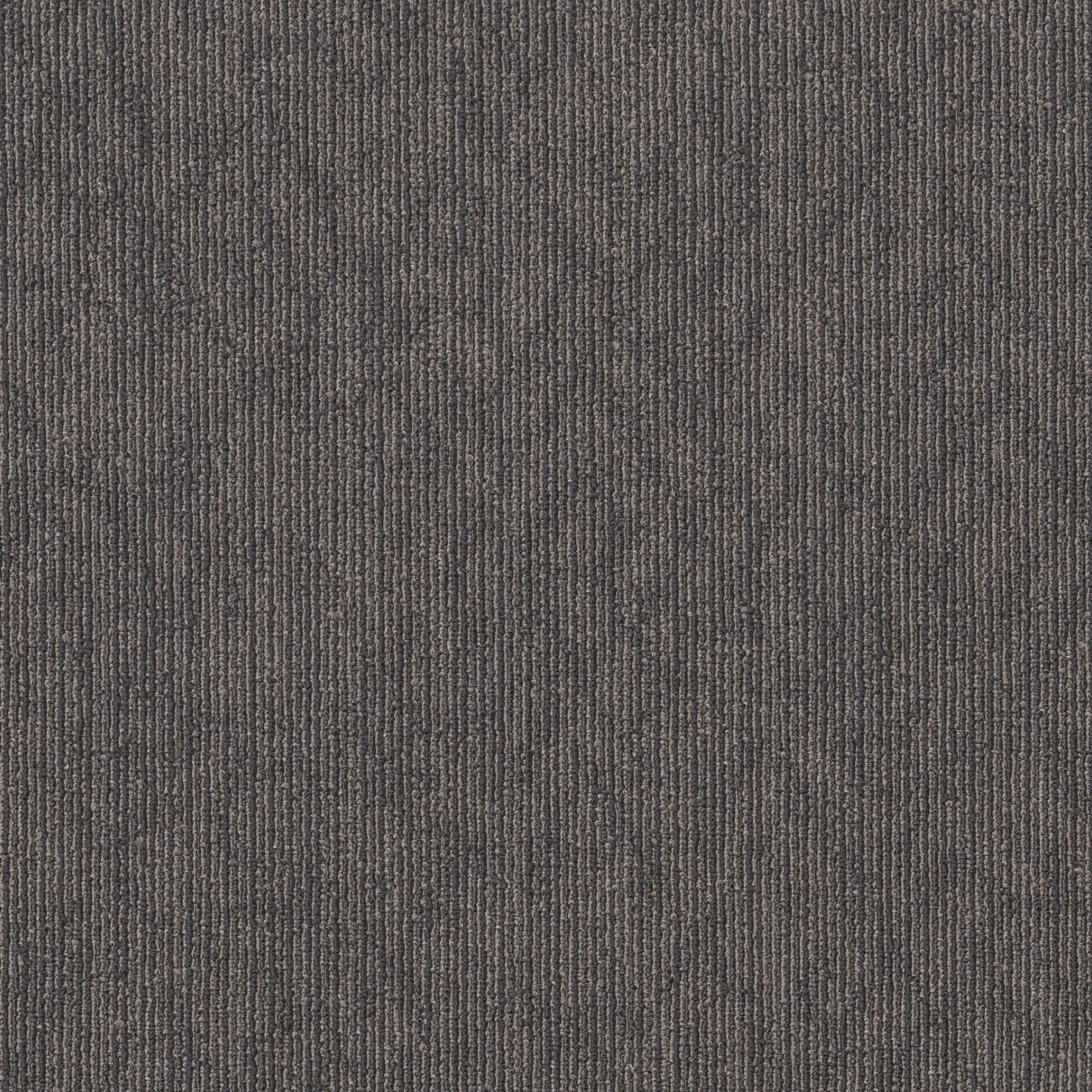 Shaw Rare Essence 24 X 24 Glue Down Commercial Carpet Tile Sold By