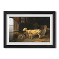 Sheep In A Stable 1810 James Ward Custom Framed Print