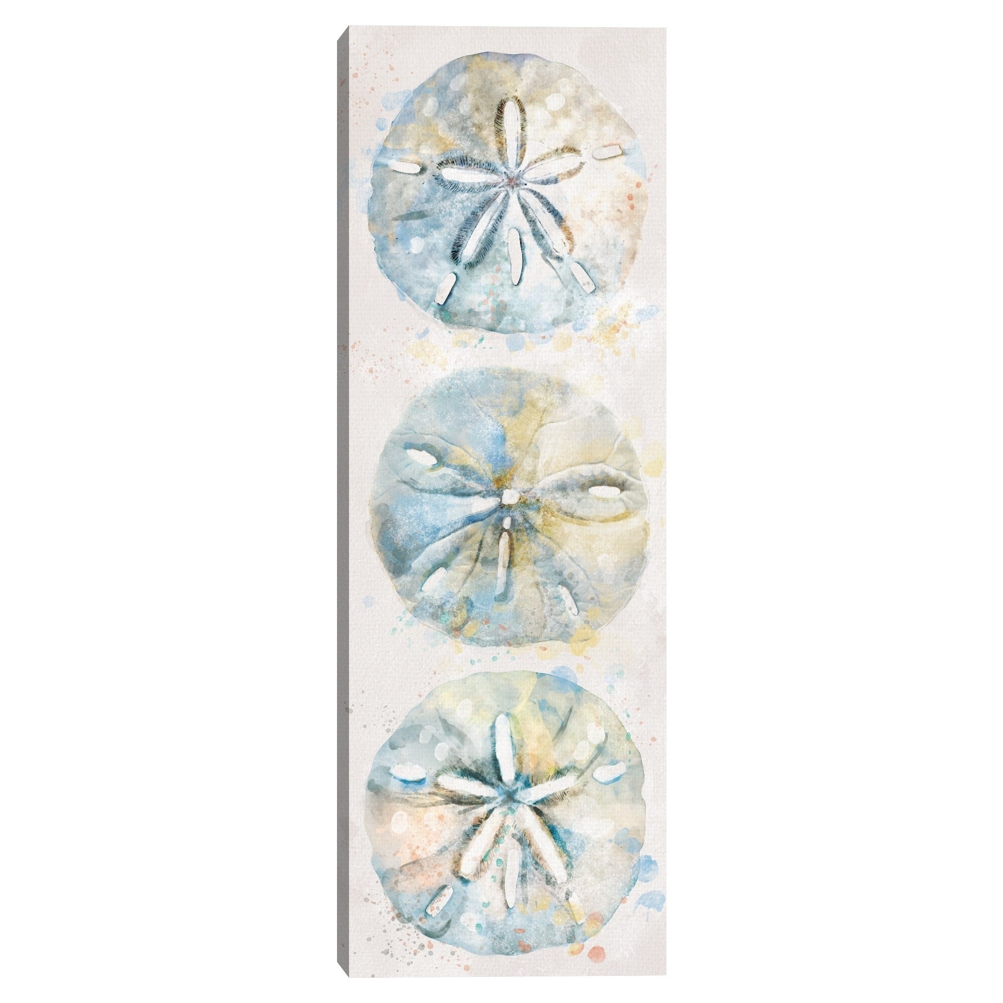 Shell Panel Ii By Studio Arts Canvas Art Print