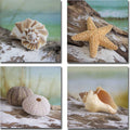 Shell And Driftwood I Ii Iii And Iv By Donna Geissler 4 Piece Gallery Wrapped Canvas Giclee Art Set