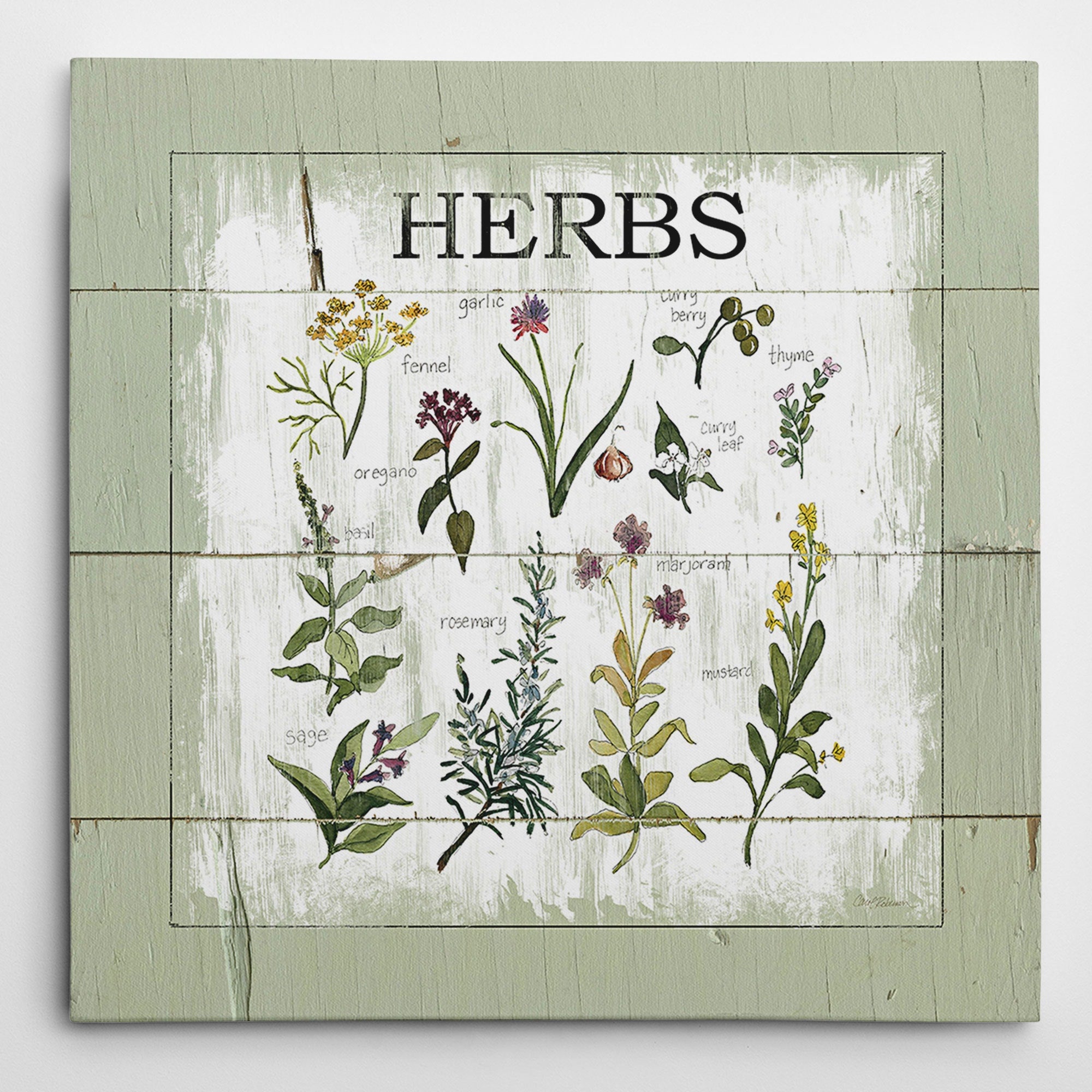 Wexford Home Carol Robinson Shiplap Herbs Wrapped Canvas