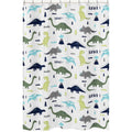 Sweet Jojo Designs Shower Curtain For The Blue And Green Mod Dinosaur Collection