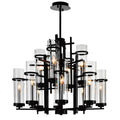 Black Finish 12 Light Chandelier