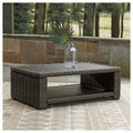Grasson Lane Brown Rectangular Cocktail Table