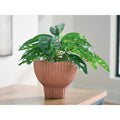 Signature Design By Ashley Orban Brown White Vase