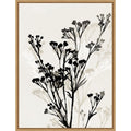Silhouettes Of Delicate Blooms Ii By Aria K Framed Canvas Wall Art