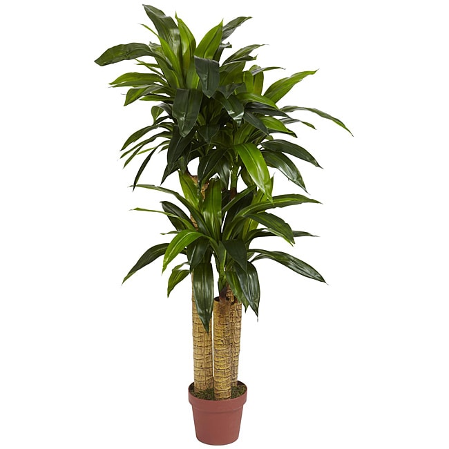 Silk 4 Foot Potted Corn Stalk Dracaena Plant Green 4H X 2D