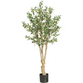 Silk 5 Foot Olive Tree