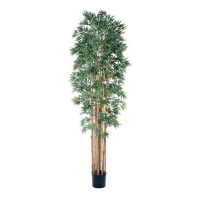 Silk Bamboo Japanica 6 Foot Tree