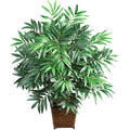 Silk Bamboo Palm With Wood Wicker Basket