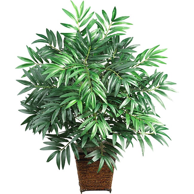 Silk Bamboo Palm With Wood Wicker Basket