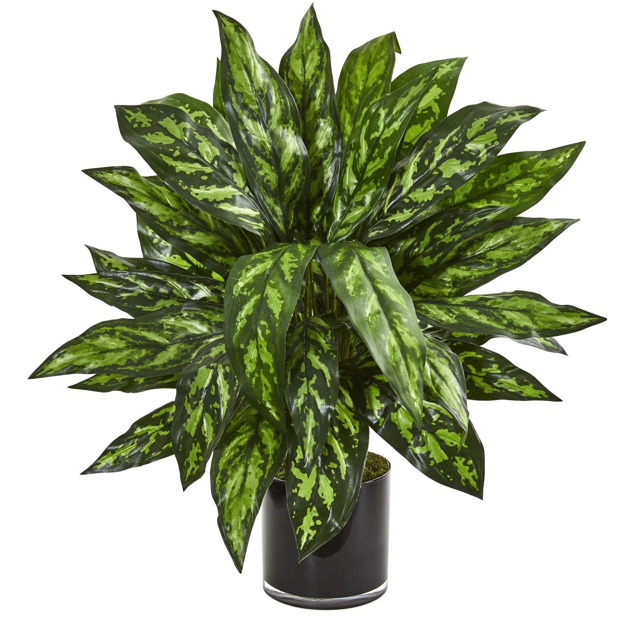Silver King Artificial Plant In Black Glass Vase