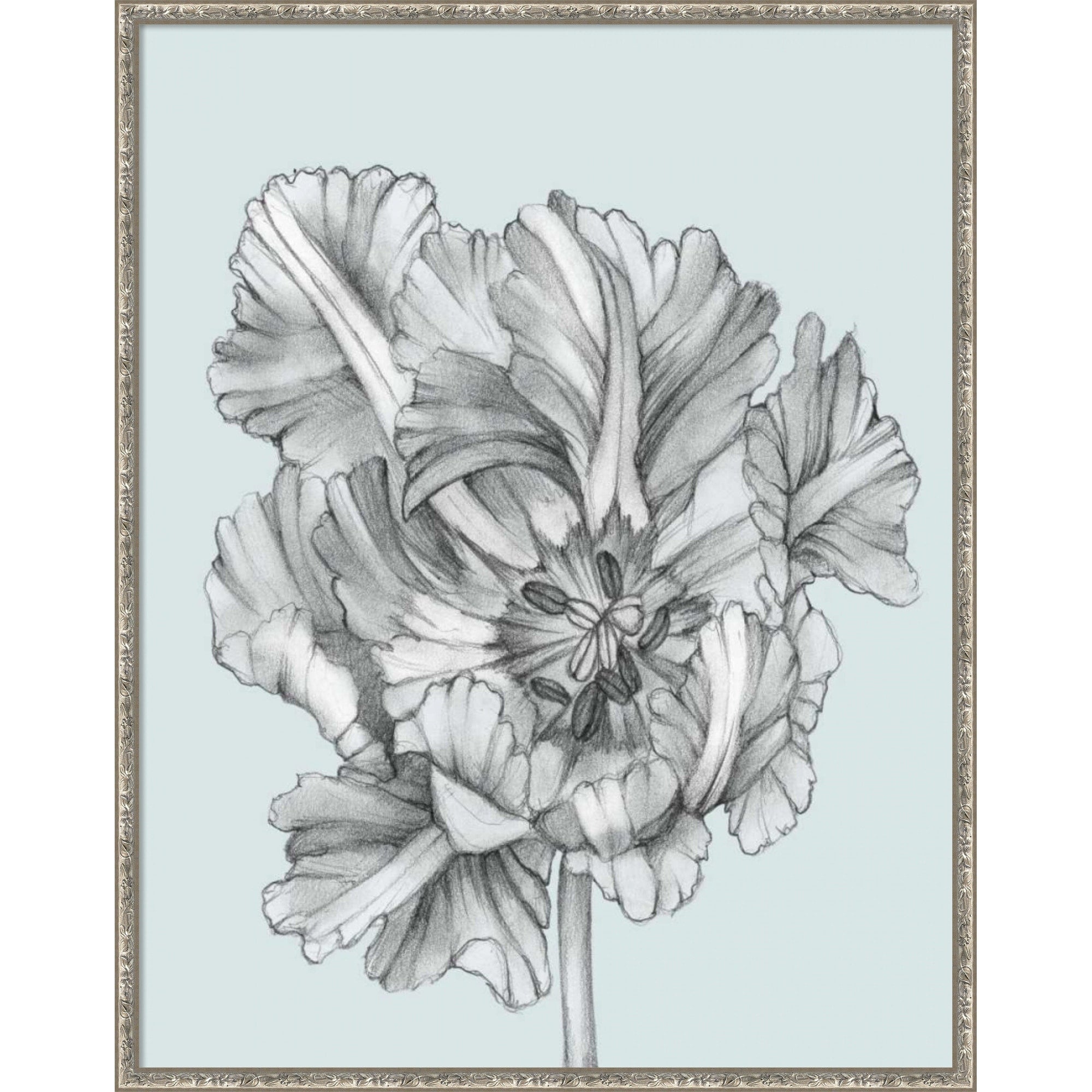 Silvery Blue Tulips No. 1 By Jennifer Goldberger Wood Framed Wall Art Print Belvedere Silver