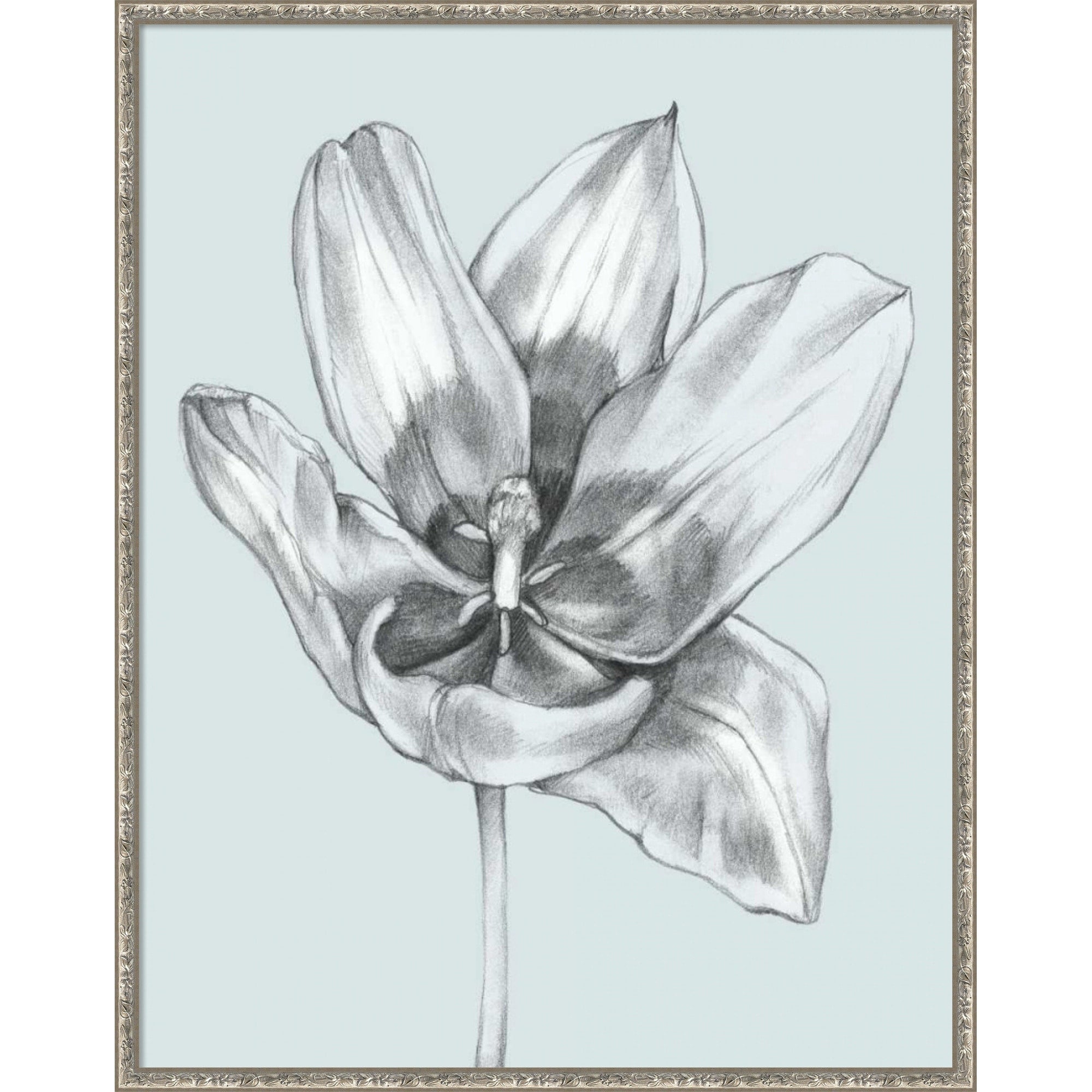 Silvery Blue Tulips No. 2 By Jennifer Goldberger Wood Framed Wall Art Print